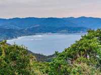 Wild Horses, Ocean Views