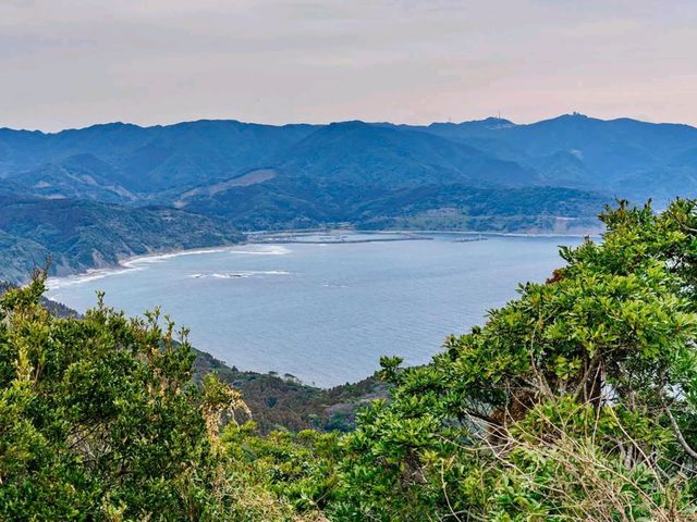 Wild Horses, Ocean Views