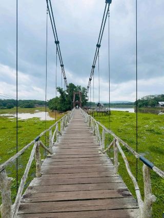 Suspension Bridge, Chill Spring Walk 