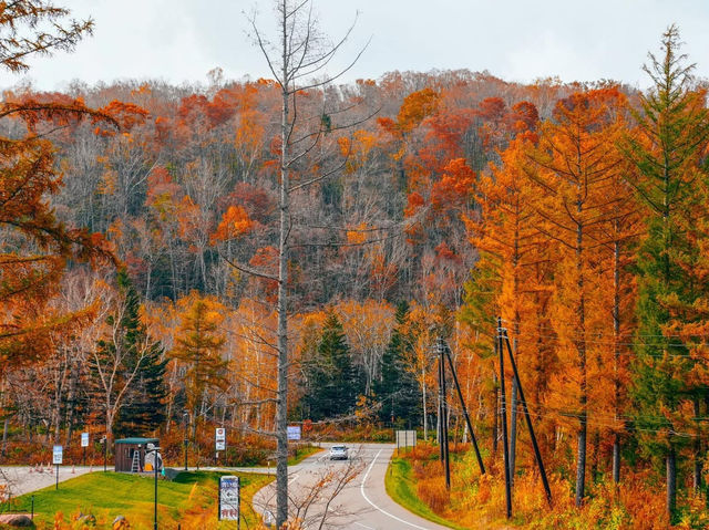 Hokkaido