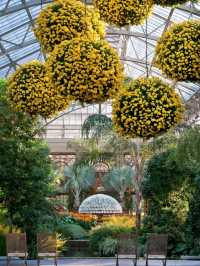 Longwood Gardens – A Living Canvas in Pennsylvania, USA
