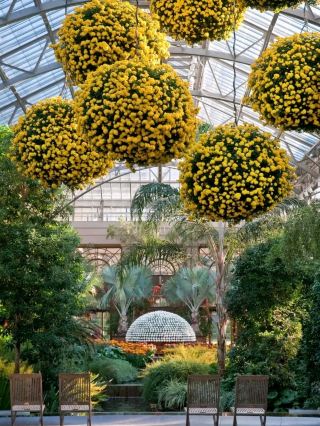 Longwood Gardens – A Living Canvas in Pennsylvania, USA