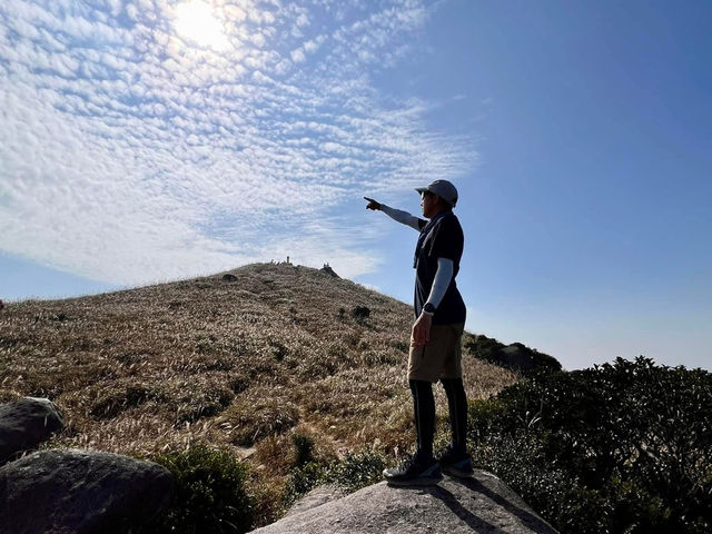 🗺️**探索香港芒草盛放:大東山**🗺️