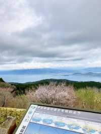 A Local Stroll Through Shuzenji – Temples, Blossoms & Comfort Food
