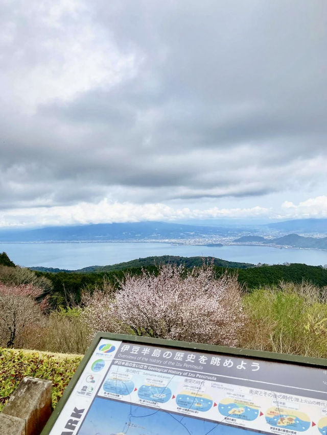 A Local Stroll Through Shuzenji – Temples, Blossoms & Comfort Food