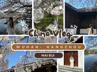 Cherry blossoms in Hangzhou (2025.03.26) 