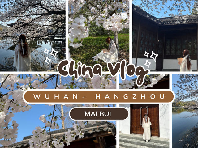 Cherry blossoms in Hangzhou (2025.03.26) 