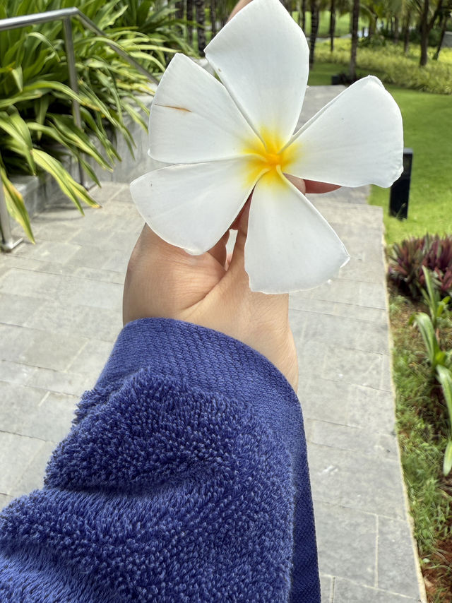 깜란 공항 5분컷! 나트랑 신상리조트 발견🌴