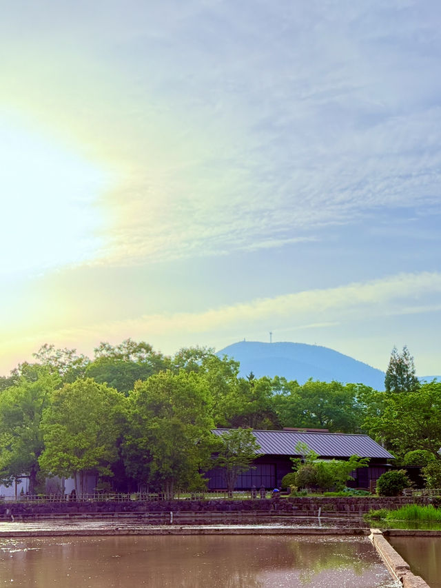 由布院東西山峰