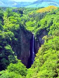 穿越僻靜山谷的高空吊橋