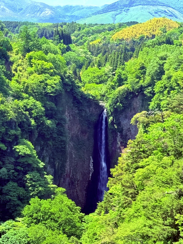 穿越僻靜山谷的高空吊橋