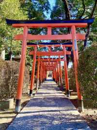 A Nature-Filled Day in Tatebayashi – Flowers, Shrines & Stillness