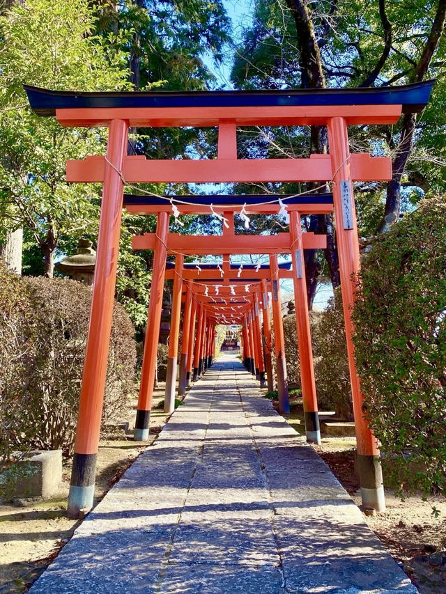 A Nature-Filled Day in Tatebayashi – Flowers, Shrines & Stillness