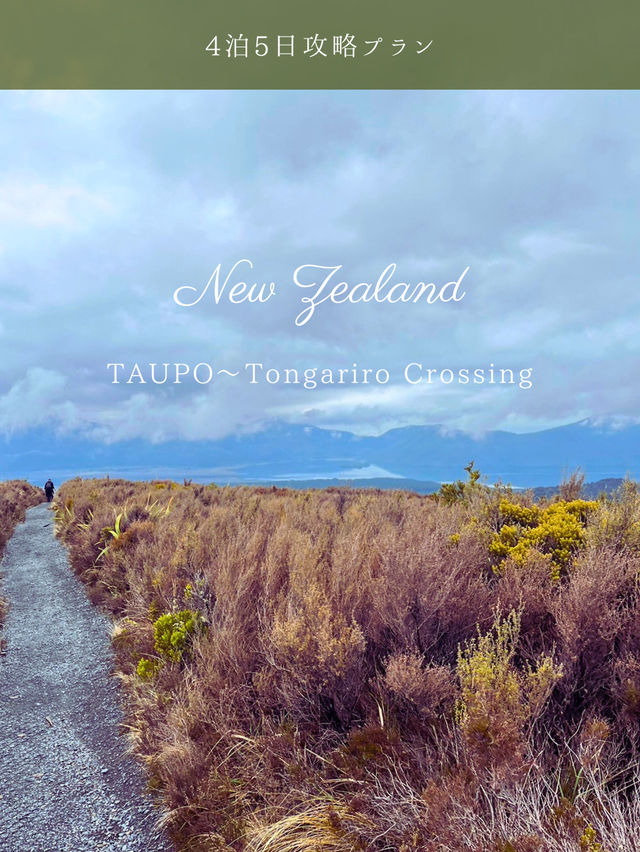 【NZ】タウポ＆トンガリロ4泊5日攻略🗻自然と火山のパワーを体感するアドベンチャー旅