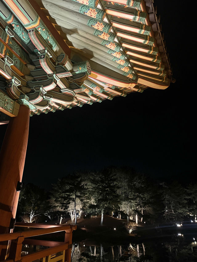 한국 경주의 찬란한 야경을 바라보다, 동궁과 월지