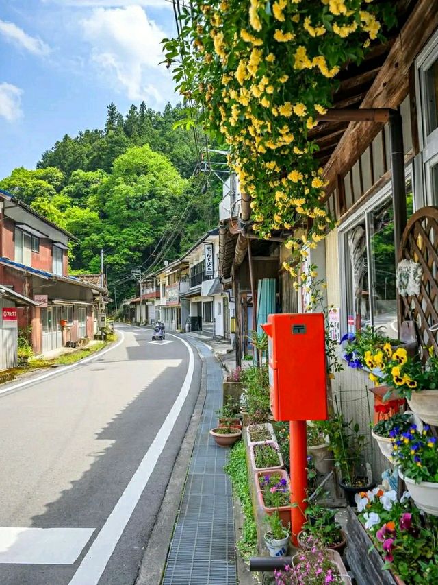 Exploring the Timeless Charm of Kyoto, Japan