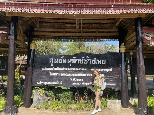 A Day with Elephants in Lampang