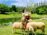 คาเฟ่สุดฮิต ที่เขาใหญ่ 