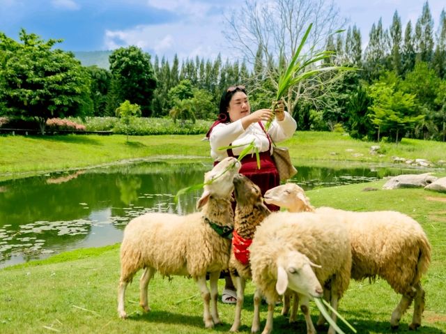 คาเฟ่สุดฮิต ที่เขาใหญ่ 