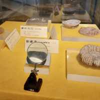 國立臺灣科學教育館：親子科學探索互動樂園 🙌🏻 