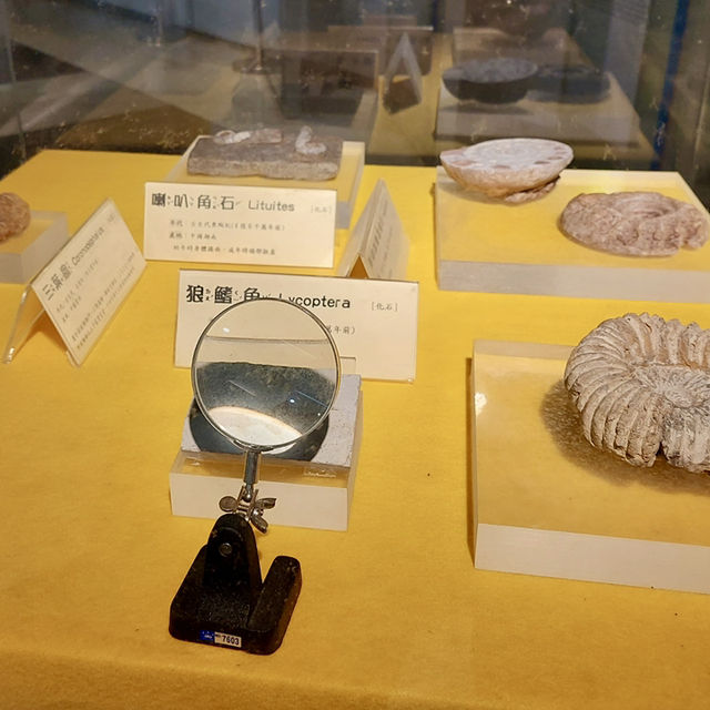 國立臺灣科學教育館：親子科學探索互動樂園 🙌🏻 