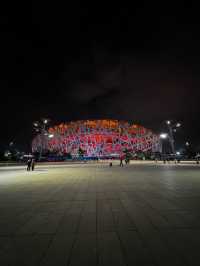 Where Architecture Becomes Art: Night Walk Between the Bird’s Nest and Water Cube