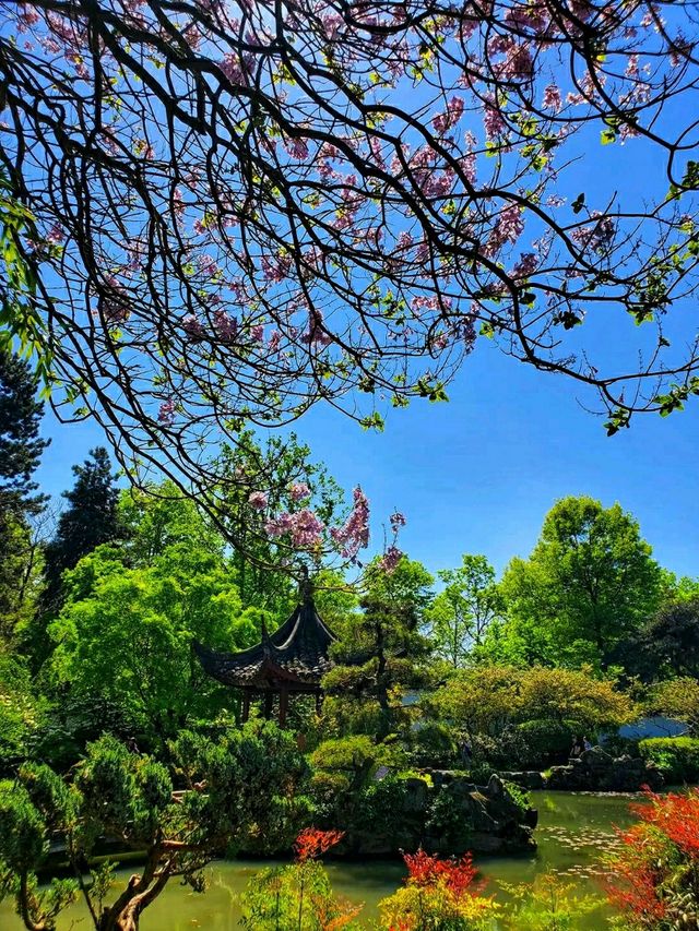 Dr. Sun Yat-Sen Classical Chinese Garden – A Tranquil Oasis in Vancouver’s Chinatown