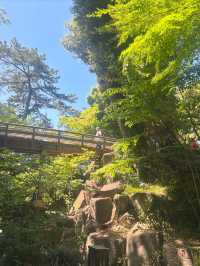 徳川園　in名古屋