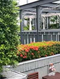  Mövenpick BDMS Wellness Resort Bangkok – A Wellness Oasis in Central Bangkok