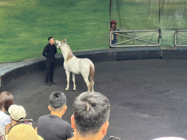 台灣的阿爾卑斯山脈風-清境農場