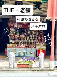 歴史ある豊川稲荷の参道巡りの旅