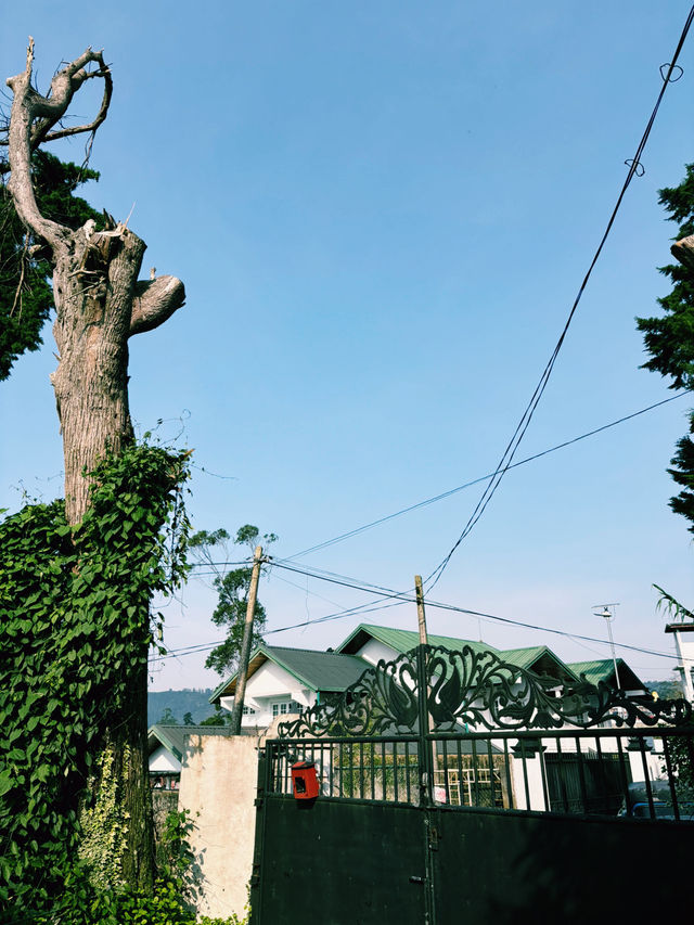 🇱🇰スリランカ ヌワラエリヤ　Silver Meir Holiday Bungalow