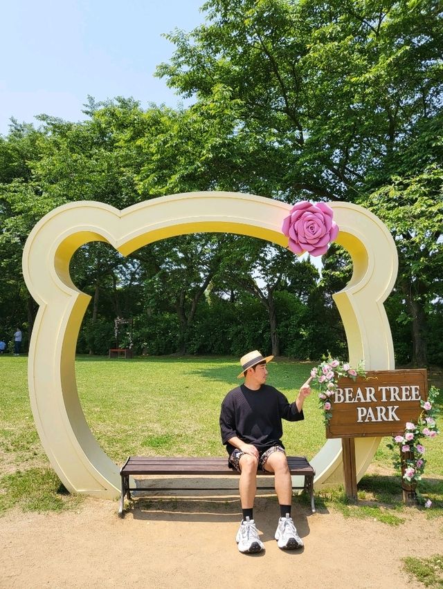 장미와 다양한 볼거리가 넘쳐나는 세종여행지