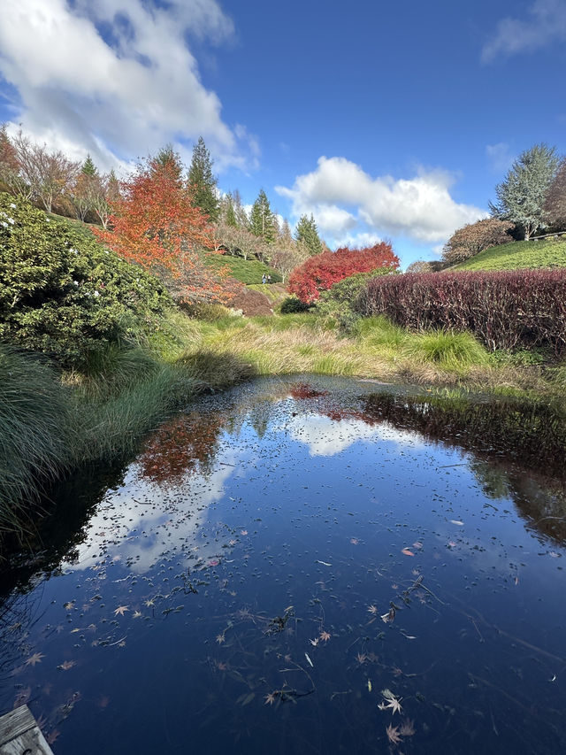 紐西蘭Rotorua 秋色美🍁🍂