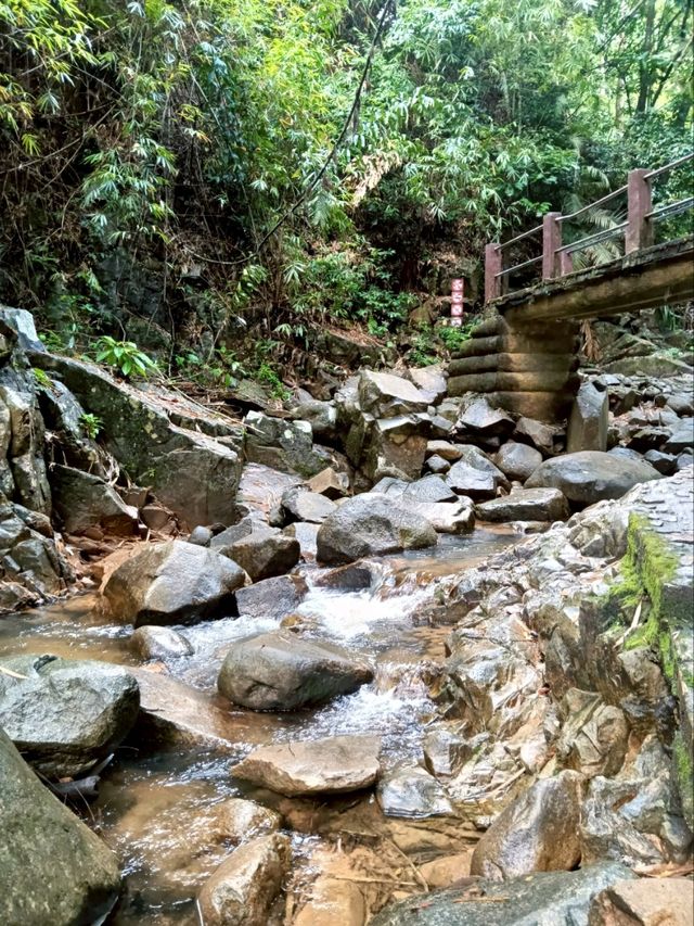อุทยานแห่งชาติน้ำตกพลิ้ว 