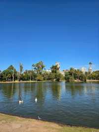 해외여행 부에노스아이레스에서 가장 큰 공원 Patio Andaluz
