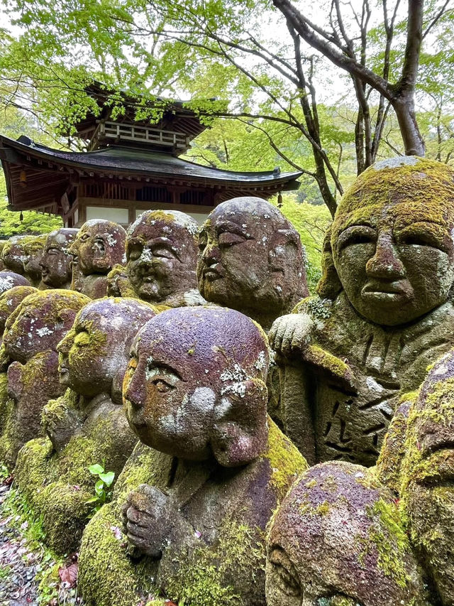 A Peaceful Day Exploring Oku-Saga, Kyoto 🌿