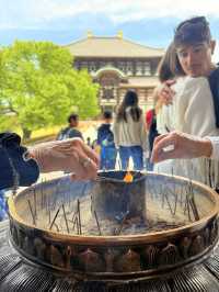 奈良｜5層樓高莊嚴大佛 到聖武天皇蓋的東大寺感受千年歷史