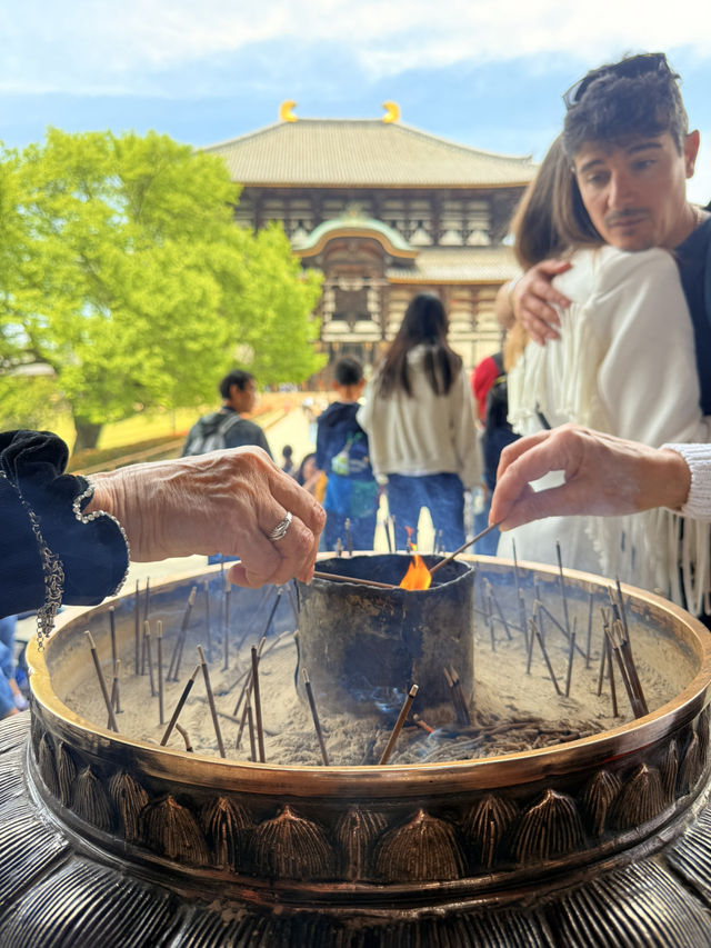 奈良｜5層樓高莊嚴大佛 到聖武天皇蓋的東大寺感受千年歷史