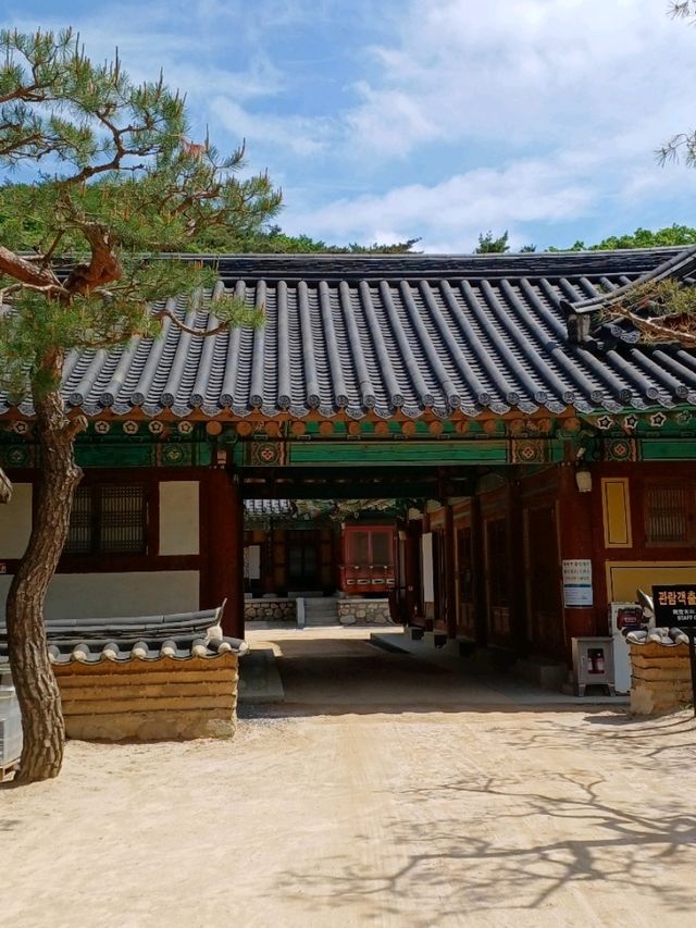 산길 따라 걷는 고요한 사색의 시간
