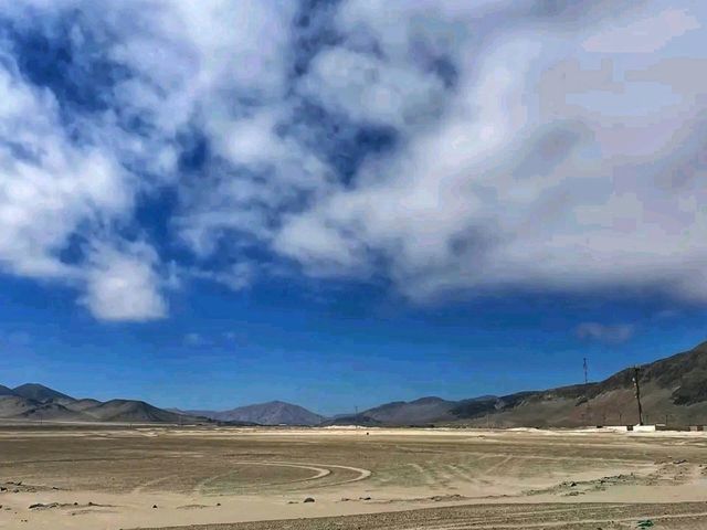 Pan de Azúcar National Park – Chile’s Desert Meets the Ocean