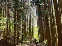 【静けさと絶景に包まれる、網掛山トレッキング⛰🌿】
