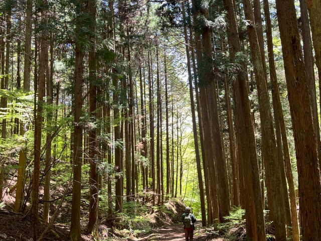 【静けさと絶景に包まれる、網掛山トレッキング⛰🌿】