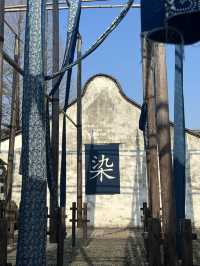 A Memorable Trip to Wuzhen