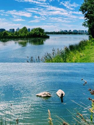 Melbourne City Healing Day Trip – Walking from Albert Park to the Yarra River