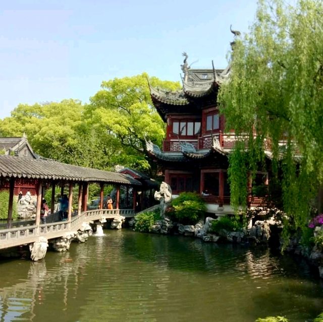Lost in the Luminous Heart of China: Shanghai!🏙️