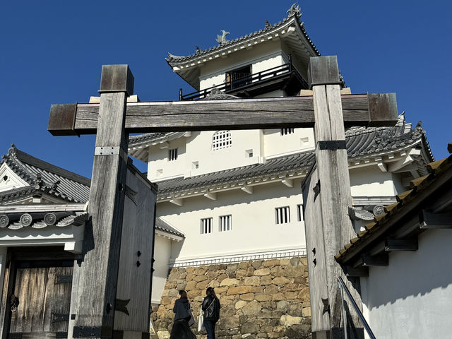 Kakegawa Castle – A Beautiful Glimpse into Feudal Japan