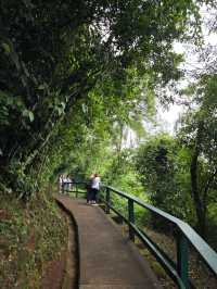 해외여행 브라질 이과수 폭포 하이킹 Trilha das Cataratas Brasil