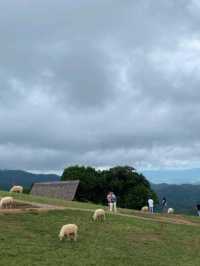 Akha Farmville