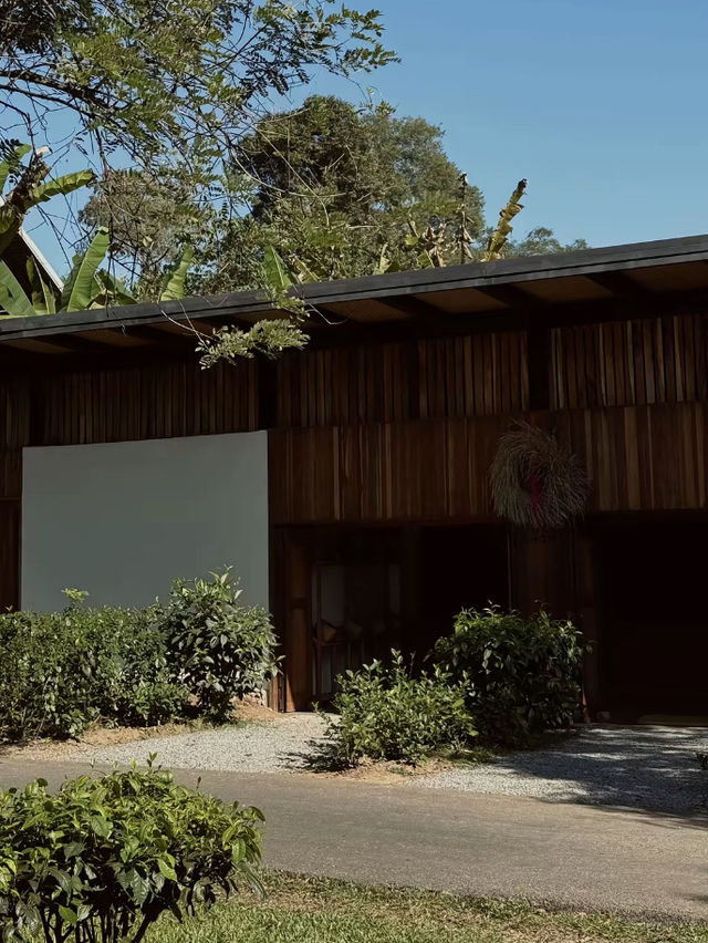 Araksa Tea Garden - Chiangmai Thailand 